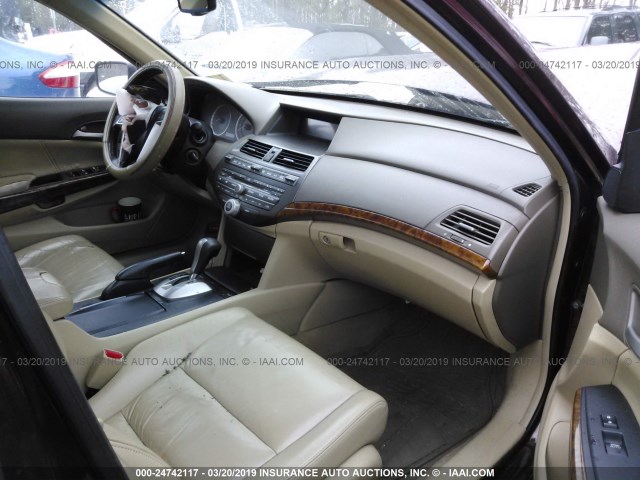 1HGCP26848A040638 - 2008 HONDA ACCORD EXL Bordo foto 5