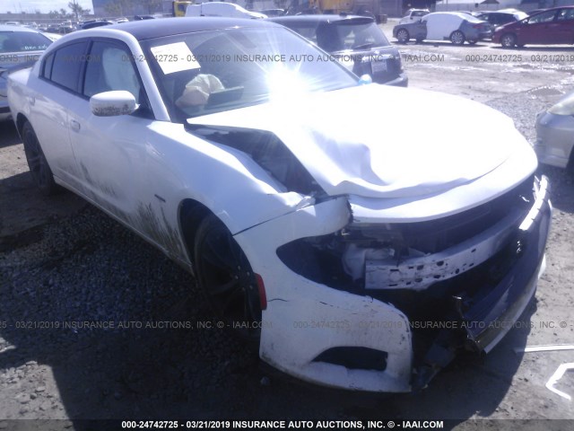 2C3CDXCTXFH732449 - 2015 DODGE CHARGER R/T WHITE photo 1