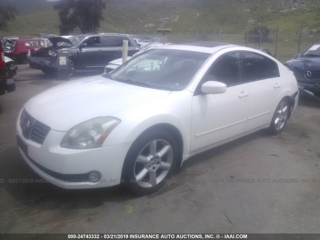 1N4BA41E75C866331 - 2005 NISSAN MAXIMA SE/SL WHITE photo 2