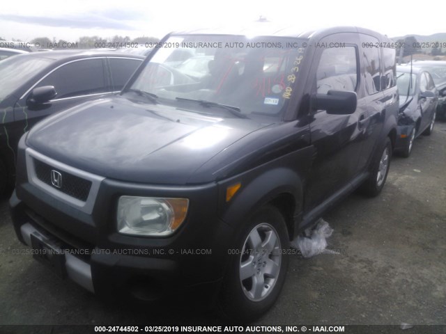 5J6YH18695L008964 - 2005 HONDA ELEMENT EX BLACK photo 2