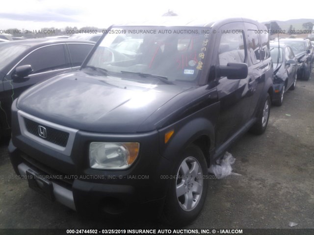 5J6YH18695L008964 - 2005 HONDA ELEMENT EX BLACK photo 6