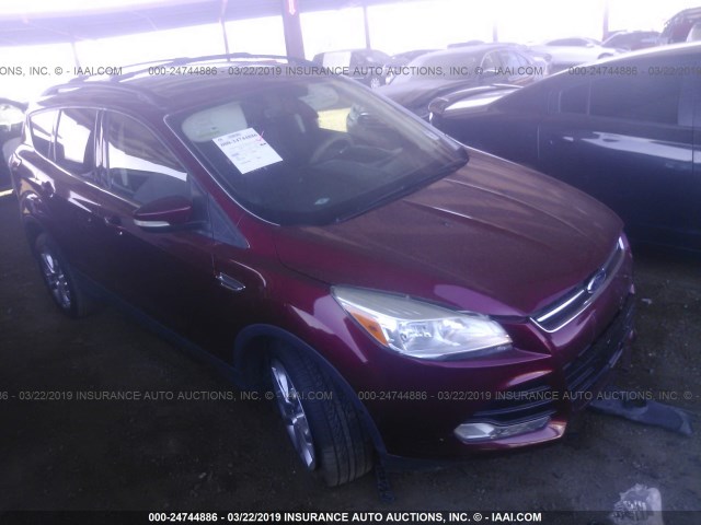 1FMCU0H91DUC93874 - 2013 FORD ESCAPE SEL RED photo 1