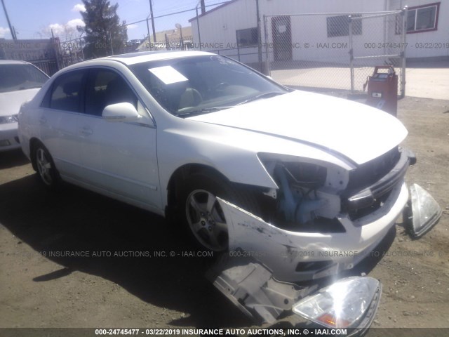 JHMCN36567C001647 - 2007 HONDA ACCORD HYBRID WHITE photo 1