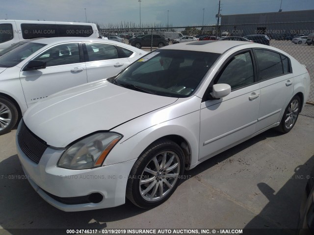 1N4BA41E54C831754 - 2004 NISSAN MAXIMA SE/SL WHITE photo 2