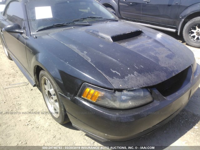 1FAFP45X52F133247 - 2002 FORD MUSTANG GT BLACK photo 6