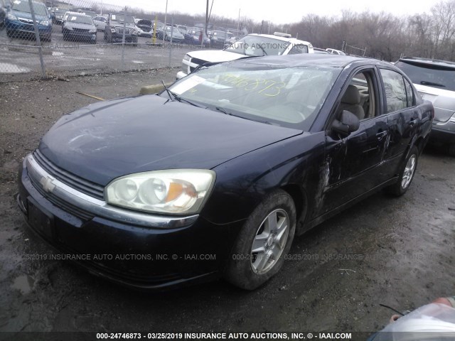 1G1ZT548X4F202528 - 2004 CHEVROLET MALIBU LS BLUE photo 2