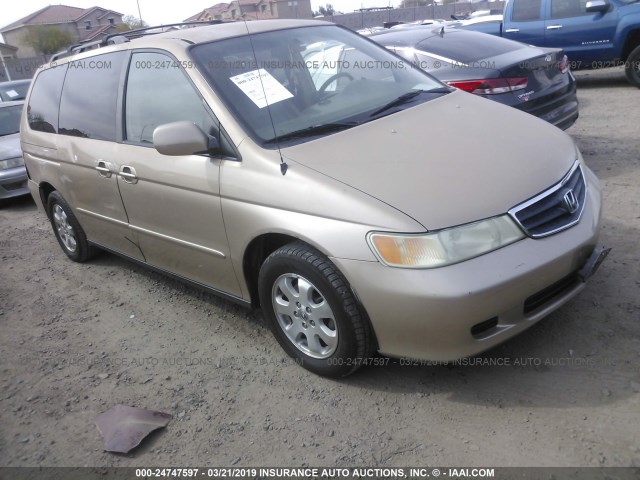 2HKRL18042H507305 - 2002 HONDA ODYSSEY EXL GOLD photo 1