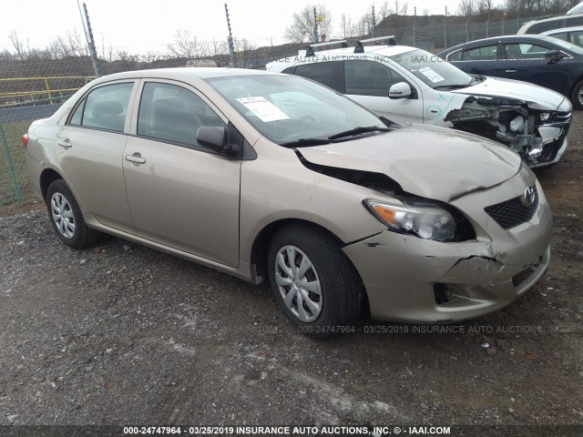 2T1BU40EX9C042663 - 2009 TOYOTA COROLLA S/LE/XLE GOLD photo 1