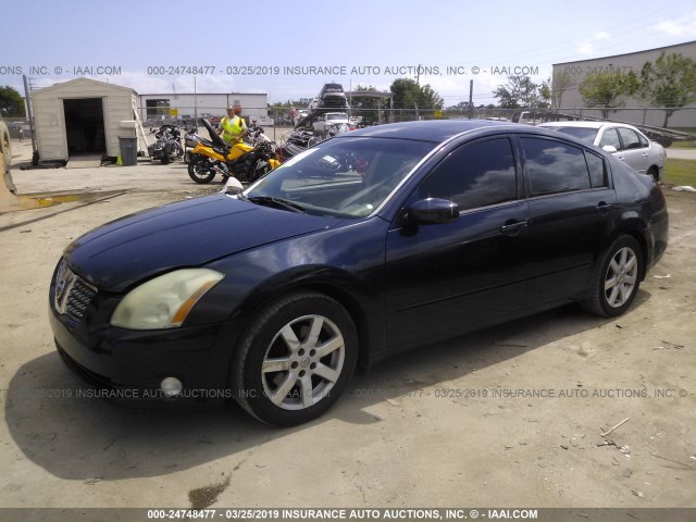 1N4BA41E04C928070 - 2004 NISSAN MAXIMA SE/SL BLUE photo 2