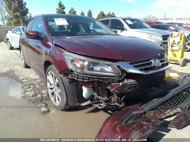 1HGCR2F51FA102137 - 2015 HONDA ACCORD SPORT RED photo 1