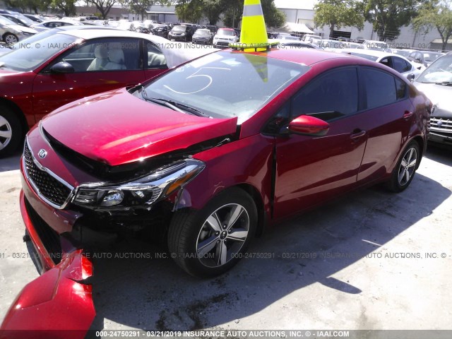 3KPFL4A77JE204646 - 2018 KIA FORTE LX/S RED photo 2