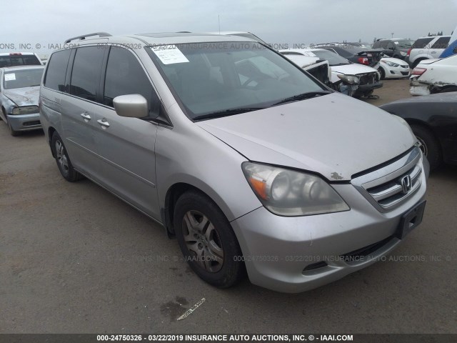 5FNRL38655B032542 - 2005 HONDA ODYSSEY EXL SILVER photo 1