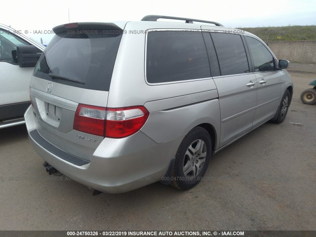 5FNRL38655B032542 - 2005 HONDA ODYSSEY EXL SILVER photo 4