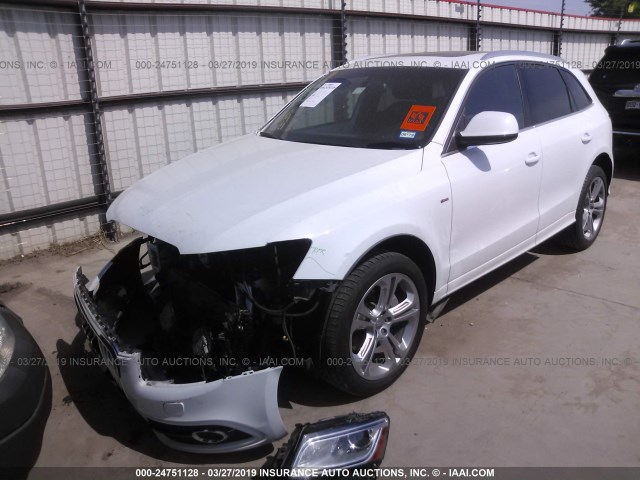 WA1DGAFP9DA098141 - 2013 AUDI Q5 PREMIUM PLUS WHITE photo 2