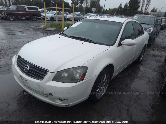 1N4AL11D45C370964 - 2005 NISSAN ALTIMA S/SL WHITE photo 2