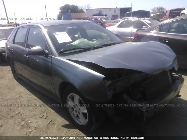 1G1ZT62805F328133 - 2005 CHEVROLET MALIBU MAXX LS GRAY photo 1