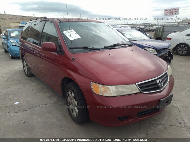 5FNRL18953B059932 - 2003 HONDA ODYSSEY EXL BURGUNDY photo 1