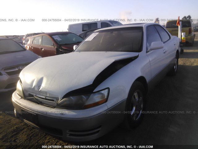 JT8GK13T8S0099575 - 1995 LEXUS ES 300 WHITE photo 2