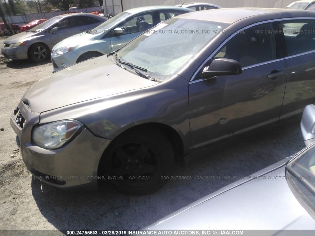 1G1ZA5EU4CF297426 - 2012 CHEVROLET MALIBU LS GRAY photo 2