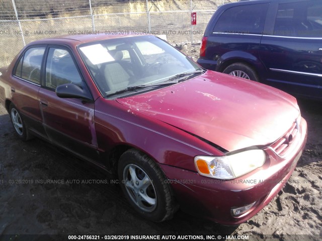 1NXBR12E21Z480206 - 2001 TOYOTA COROLLA CE/LE/S RED photo 1