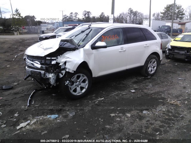 2FMDK3JC7EBB35791 - 2014 FORD EDGE SEL WHITE photo 2