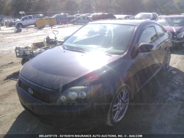 JTKDE167690283541 - 2009 TOYOTA SCION TC იასამნისფერი ფოტო 2