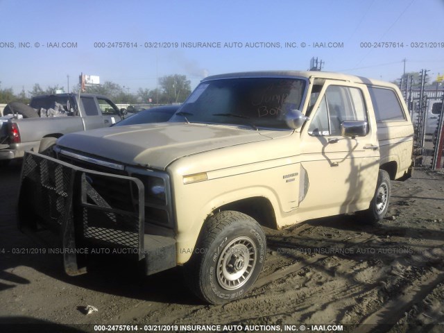 1FMEU15F8ELA11472 - 1984 FORD BRONCO U100 YELLOW photo 2