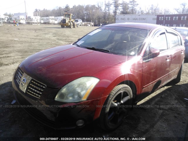 1N4BA41E96C805807 - 2006 NISSAN MAXIMA SE/SL RED photo 2