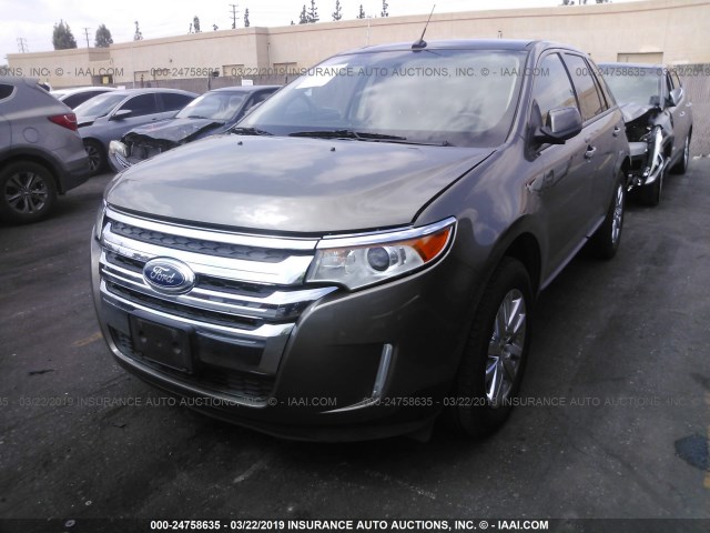 2FMDK3JC6DBA32215 - 2013 FORD EDGE SEL GOLD photo 2