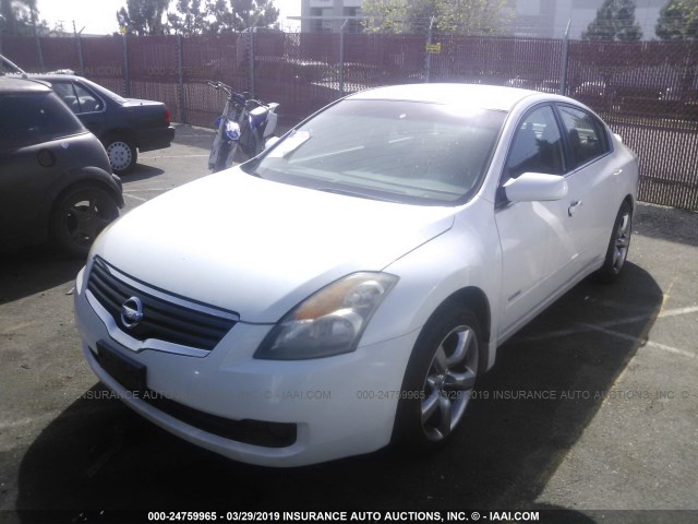 1N4CL21E48C200924 - 2008 NISSAN ALTIMA HYBRID WHITE photo 2