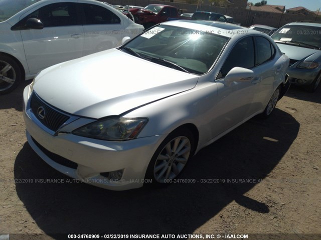 JTHBF5C26A2095850 - 2010 LEXUS IS 250 WHITE photo 2