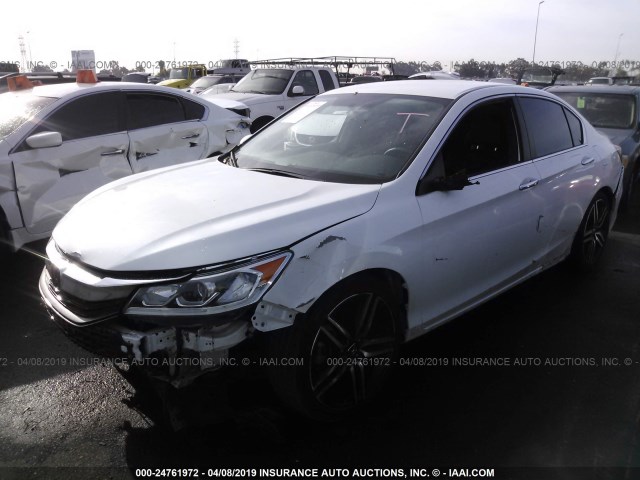 1HGCR2F53GA143127 - 2016 HONDA ACCORD SPORT WHITE photo 2