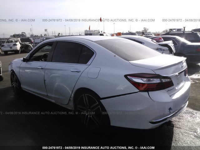 1HGCR2F53GA143127 - 2016 HONDA ACCORD SPORT WHITE photo 3