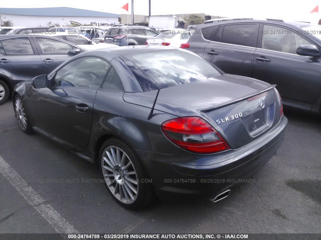 WDBWK5EA3AF230437 - 2010 MERCEDES-BENZ SLK 300 GRAY photo 3