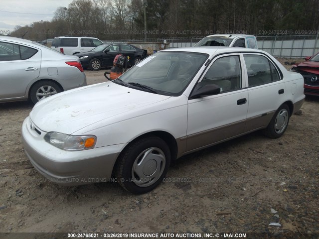 1NXBR12E6WZ124431 - 1998 TOYOTA COROLLA VE/CE/LE WHITE photo 2