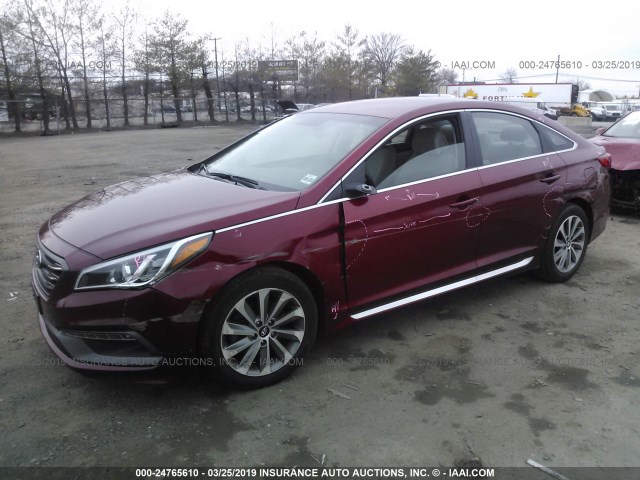 5NPE34AF1GH314017 - 2016 HYUNDAI SONATA SPORT/LIMITED RED photo 2