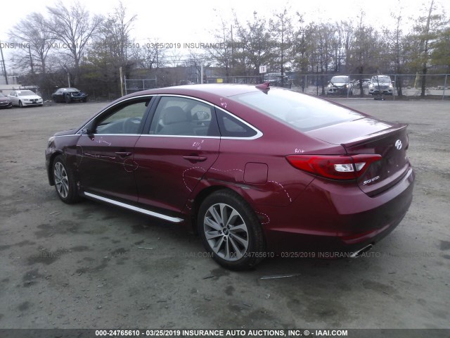 5NPE34AF1GH314017 - 2016 HYUNDAI SONATA SPORT/LIMITED RED photo 3