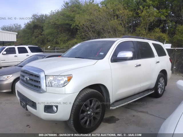 5TDDW5G13BS052511 - 2011 TOYOTA SEQUOIA PLATINUM WHITE photo 2