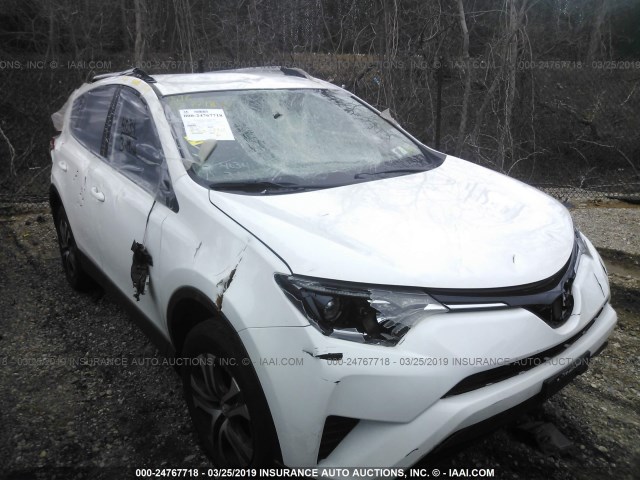 JTMBFREV7HJ122604 - 2017 TOYOTA RAV4 LE WHITE photo 1