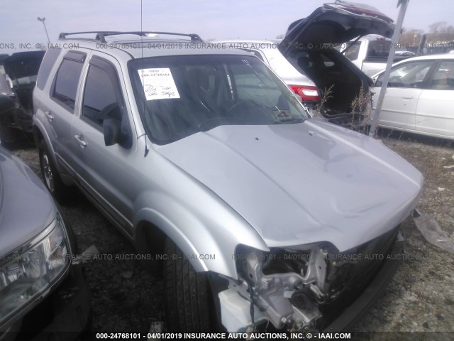 1FMYU04156KA46071 - 2006 FORD ESCAPE LIMITED SILVER photo 1