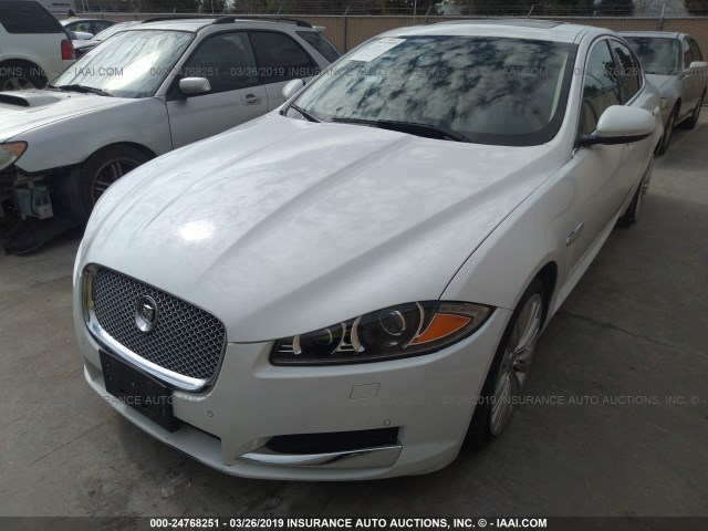 SAJWA0HB5CLS35057 - 2012 JAGUAR XF PORTFOLIO WHITE photo 2