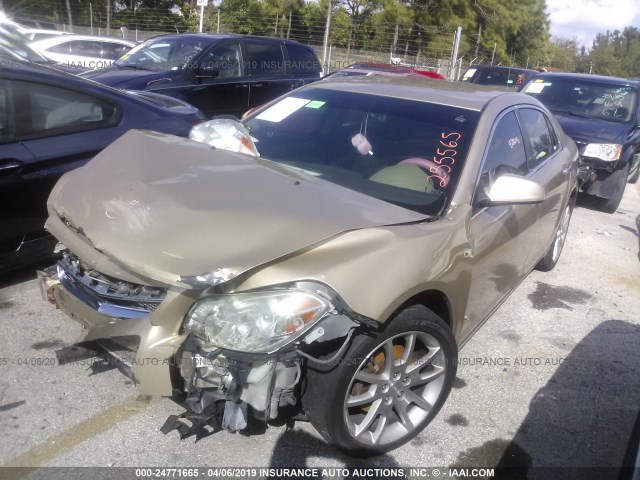 1G1ZK57718F255565 - 2008 CHEVROLET MALIBU LTZ GOLD photo 2