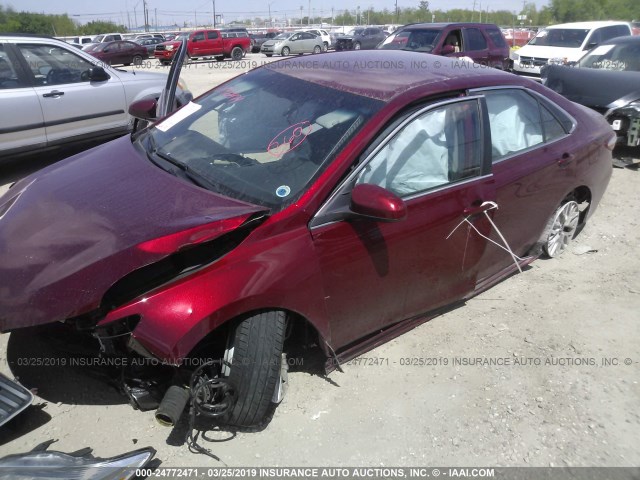 4T1BF1FK1HU629868 - 2017 TOYOTA CAMRY LE/XLE/SE/XSE RED photo 6