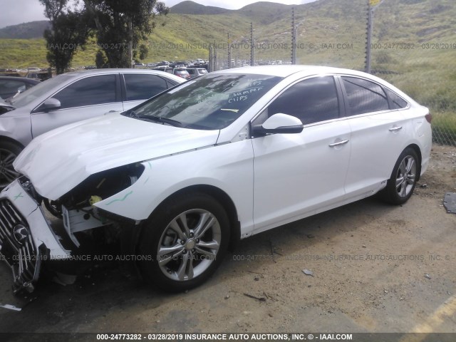 5NPE34AF1JH625275 - 2018 HYUNDAI SONATA SPORT/LIMITED WHITE photo 2