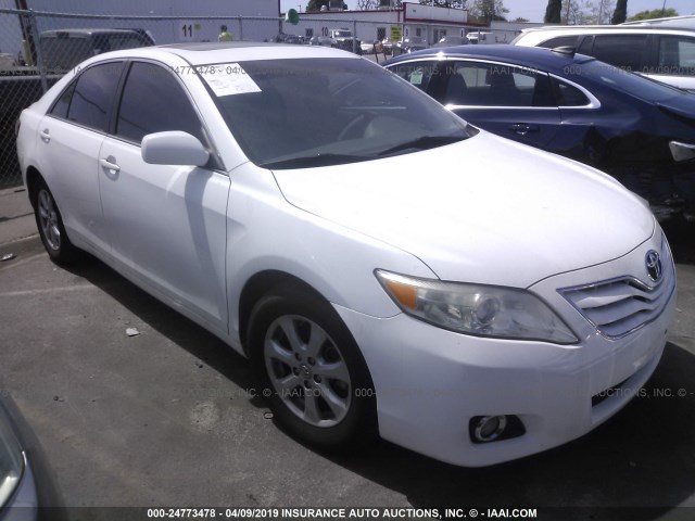 4T4BF3EK3BR183667 - 2011 TOYOTA CAMRY SE/LE/XLE Weiß Foto 1