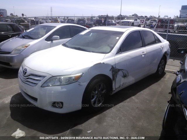 4T4BF3EK3BR183667 - 2011 TOYOTA CAMRY SE/LE/XLE Weiß Foto 2