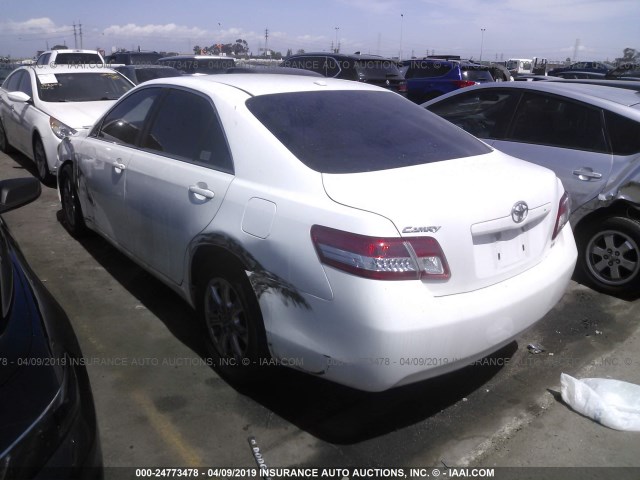 4T4BF3EK3BR183667 - 2011 TOYOTA CAMRY SE/LE/XLE Weiß Foto 3