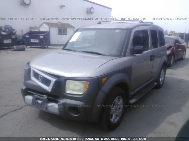 5J6YH18513L012950 - 2003 HONDA ELEMENT EX GRAY photo 2