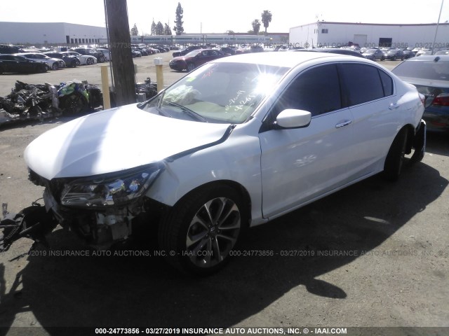 1HGCR2F51FA127930 - 2015 HONDA ACCORD SPORT WHITE photo 2