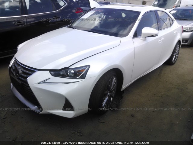 JTHBA1D28K5084421 - 2019 LEXUS IS 300 WHITE photo 2